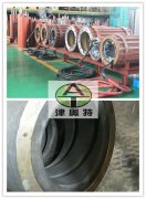 德國西格里石墨EK305材質在三相異步電動機（潛水電機）中的應用