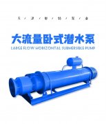 大流量臥式潛水泵產品介紹,大流量,耐磨,臥式